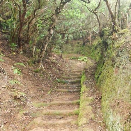 Casa Del Cu Bano B- Biosphere Reserve 산타크루스데 테네리페 외부 사진